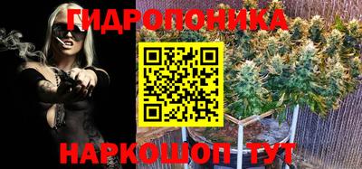 СК Камышлов