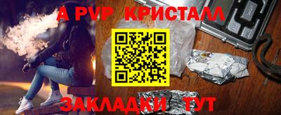 тгк Кингисепп