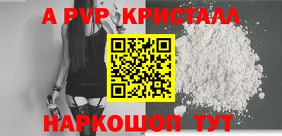 тгк Кингисепп