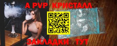 тгк Кингисепп