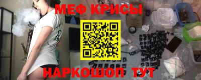 тгк Кингисепп