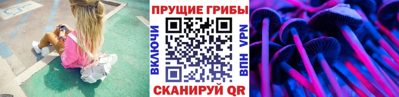 где купить наркотик  kraken зеркало  Галлюциногенные грибы Psilocybine cubensis  Октябрьский 