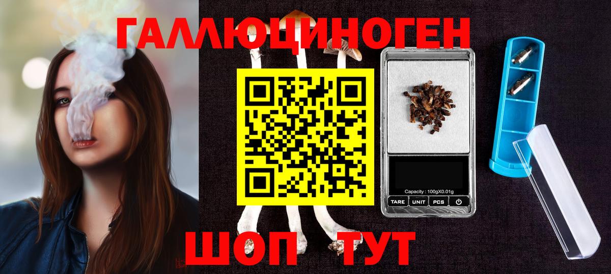 Псилоцибиновые грибы Psilocybine cubensis Октябрьский